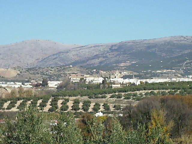 Cabra