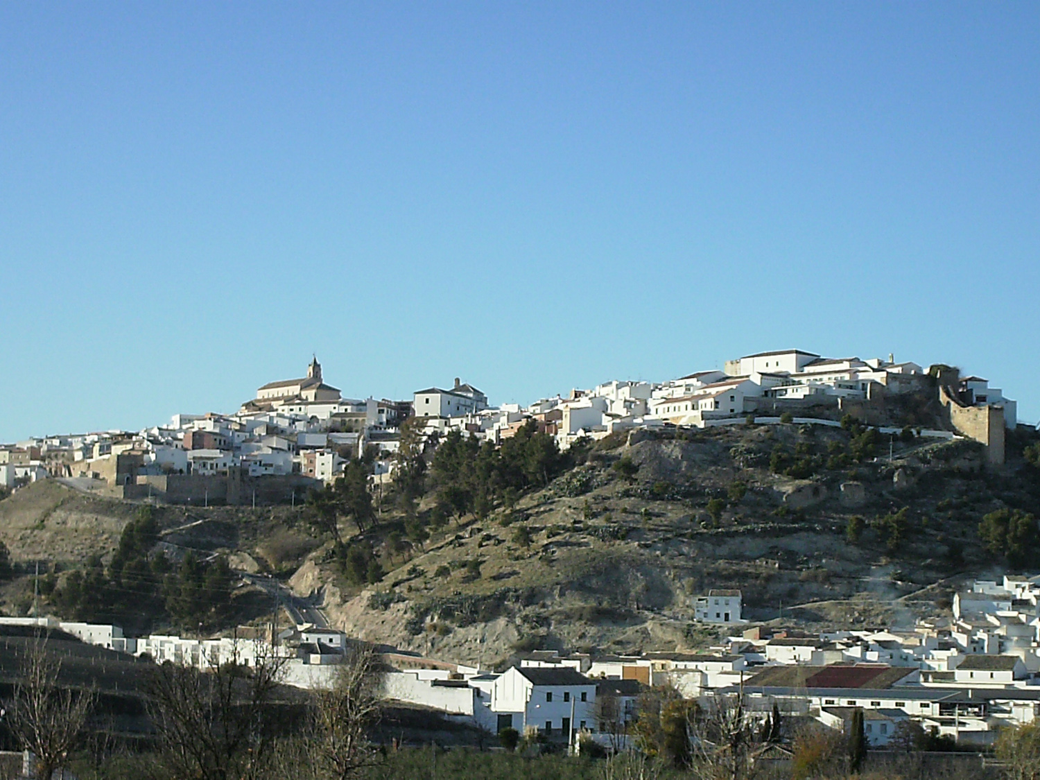 Baena
