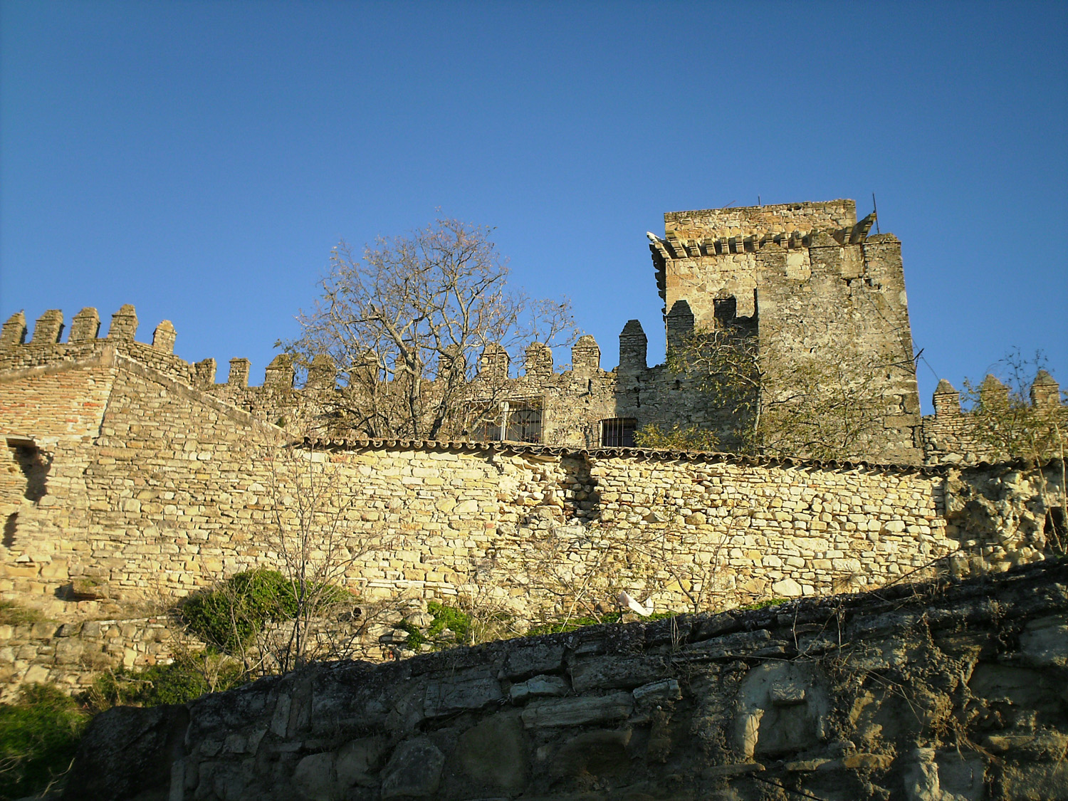 Castillo de Espejo