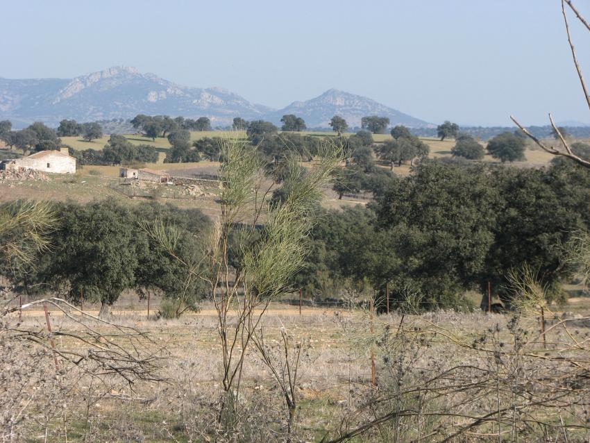 Ruta de Belalcázar a la Colada