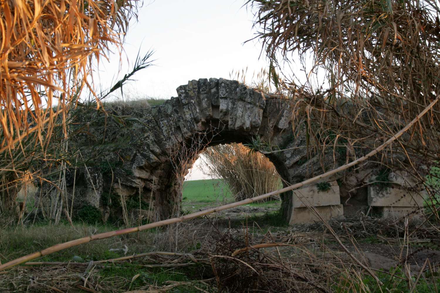 Puente de los Nogales