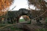 Puente de los Nogales
