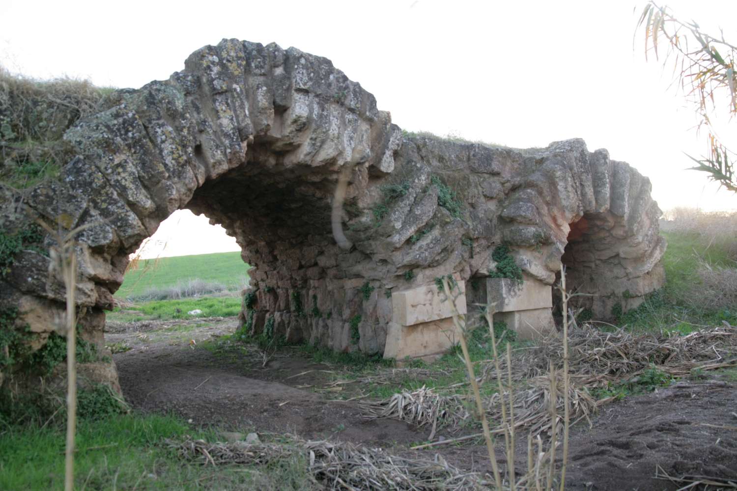 Puente de los Nogales