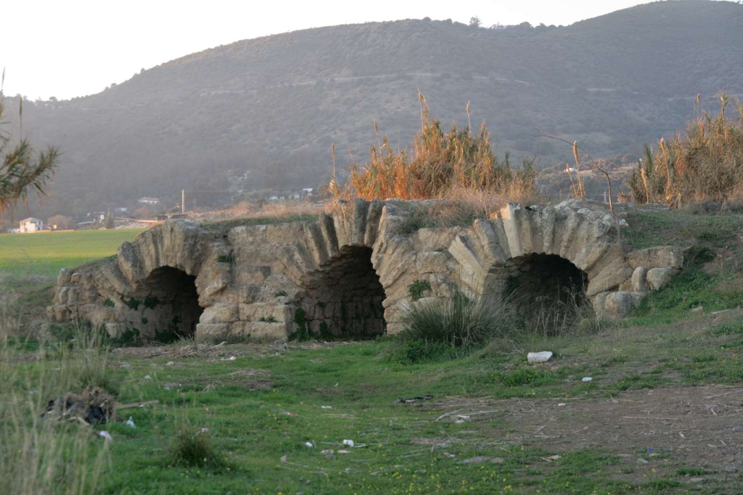 Puente de los Nogales