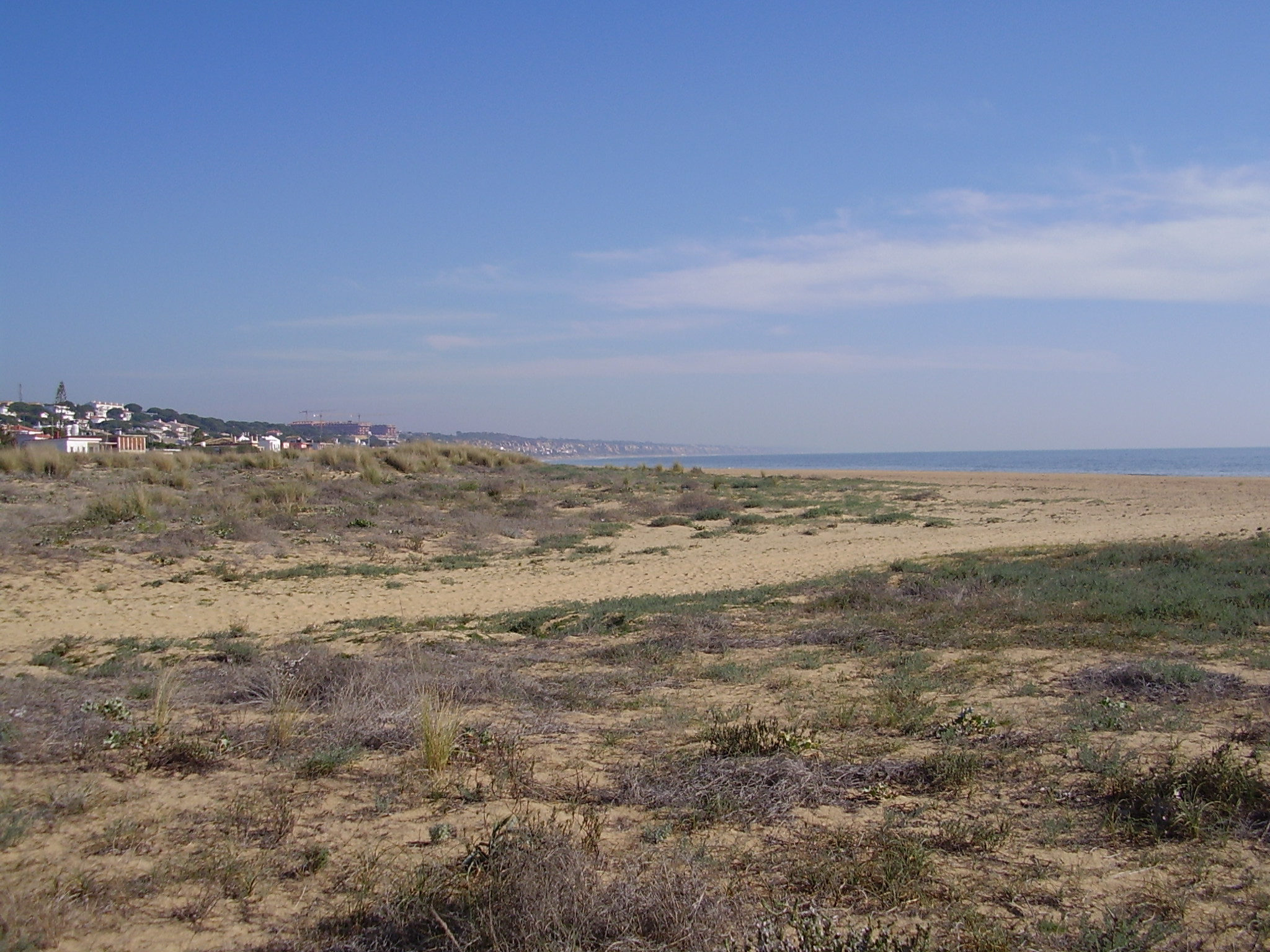 Mazagón