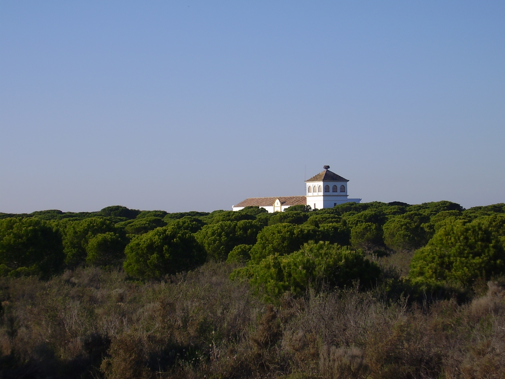 Doñana