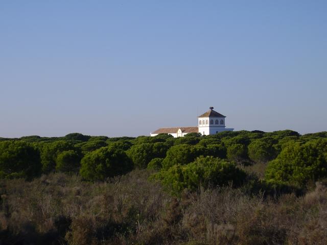 Doñana