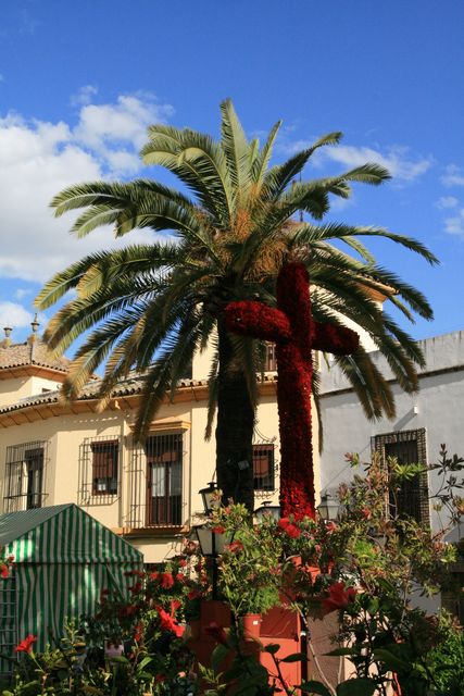 Cruz de Mayo Plaza de la Lagunilla