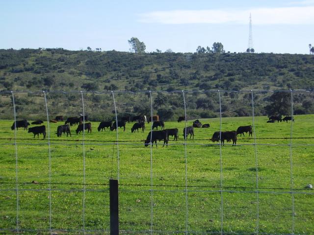 Alrededores de Linares