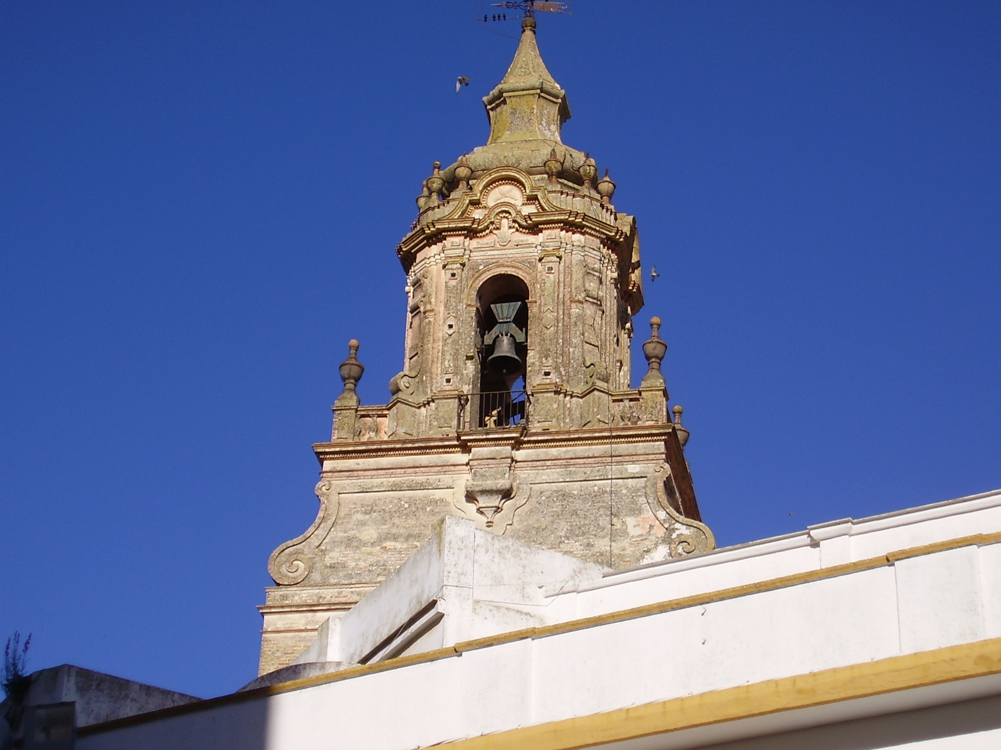 Carmona