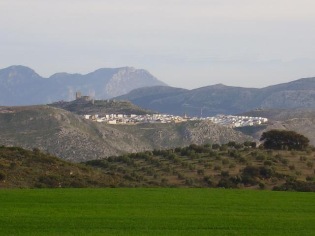 Teba