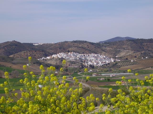 Torre Alháquime