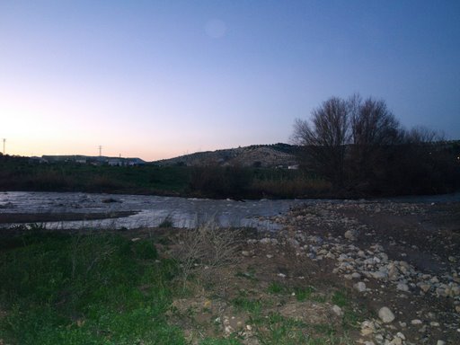 Jauja