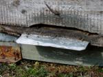 Panal de abejas