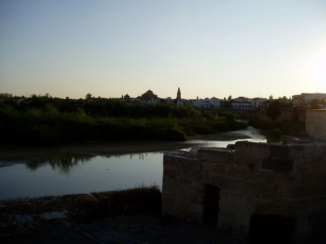 Vista Mezquita desde El Arenal