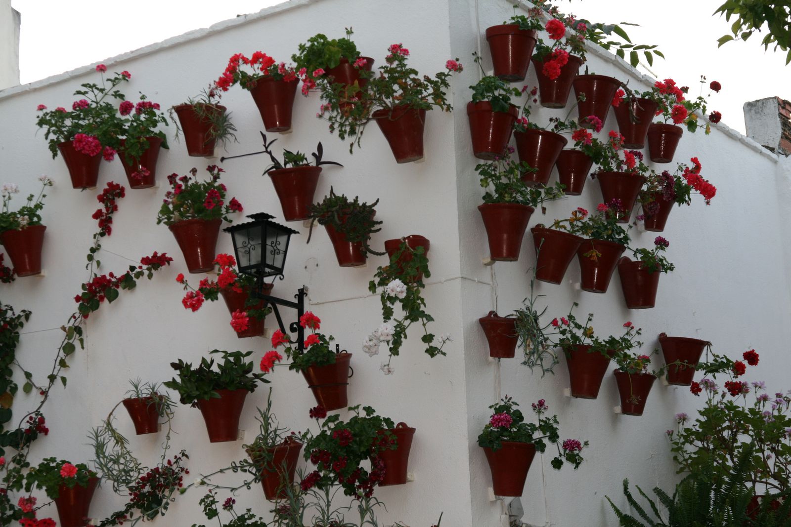 Cruz de Mayo C/ Escañuela
