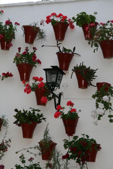 Cruz de Mayo C/ Escañuela