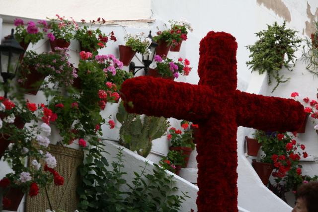 Cruz de Mayo C/ Escañuela