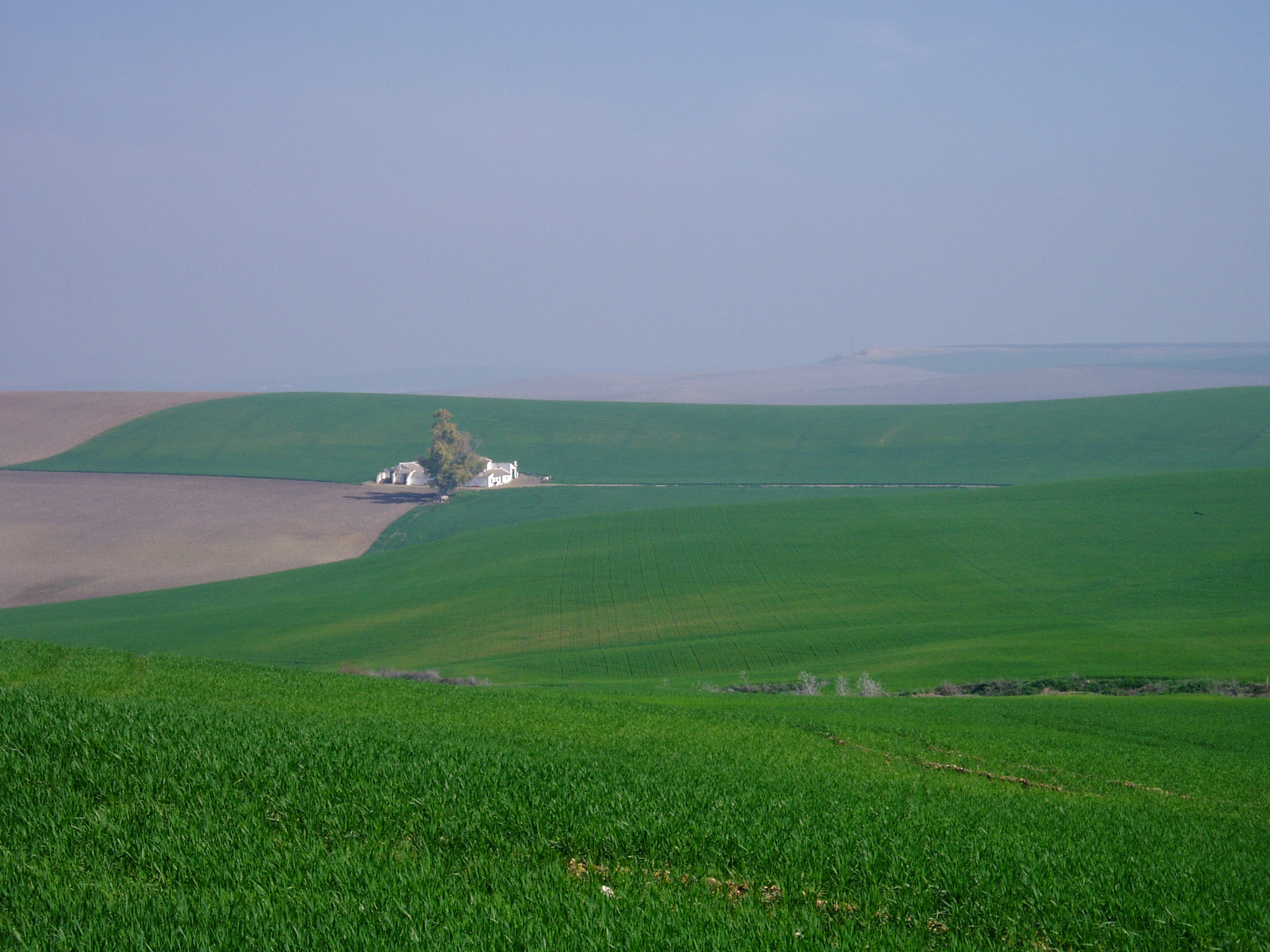 Alrededores de Córdoba