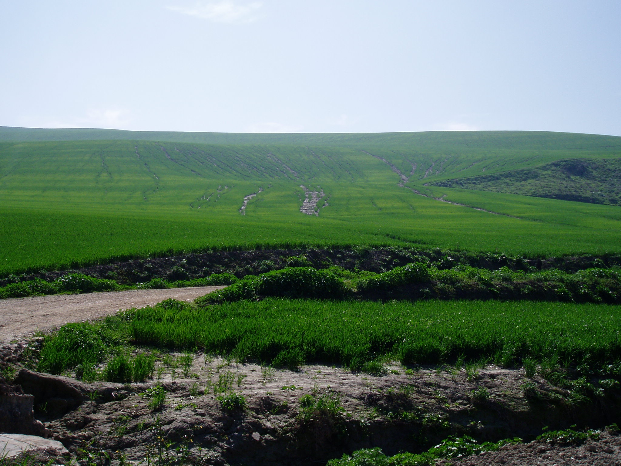 Alrededores de Córdoba