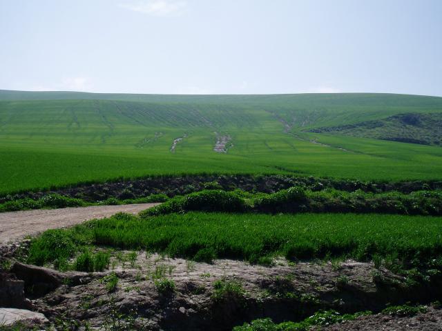 Alrededores de Córdoba