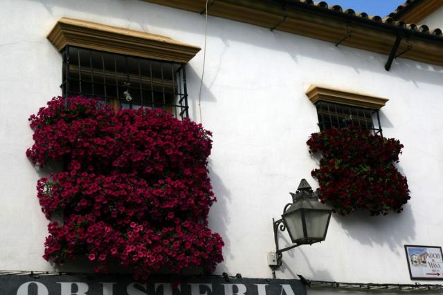 Concurso de Partios Cordobeses 2008