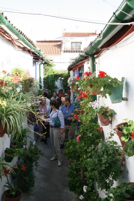 Concurso de Partios Cordobeses 2008