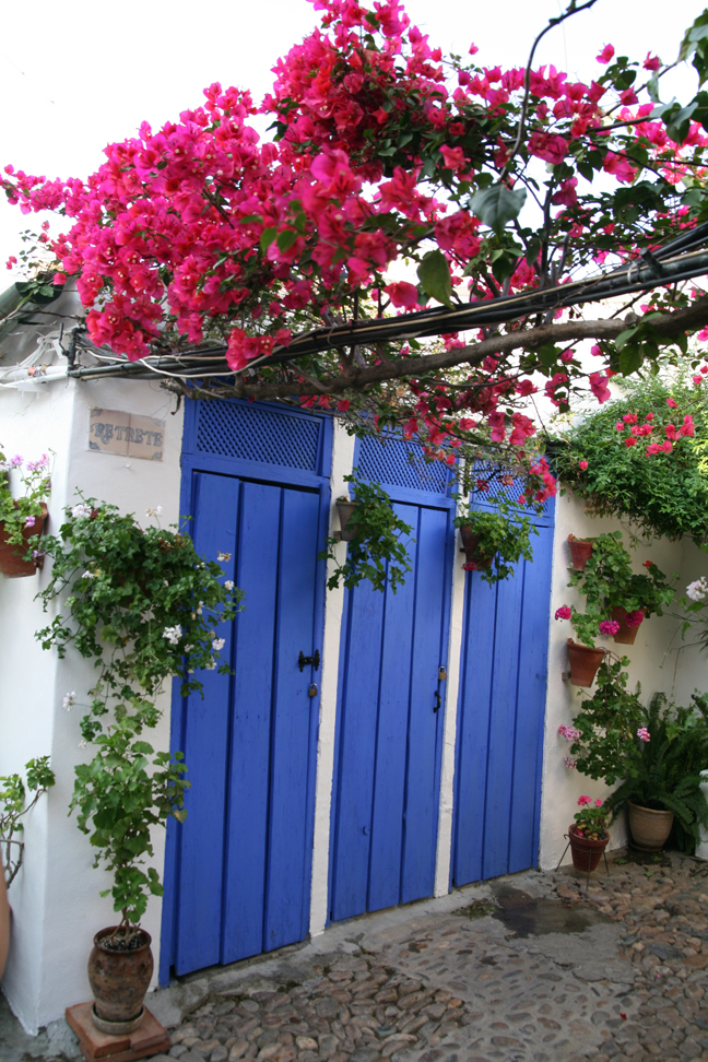 Concurso de Partios Cordobeses 2008