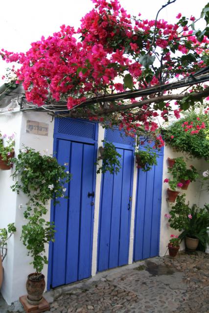 Concurso de Partios Cordobeses 2008