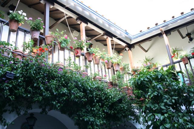 Concurso de Partios Cordobeses 2008