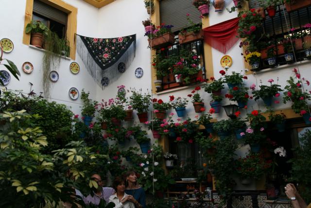 Concurso de Partios Cordobeses 2008