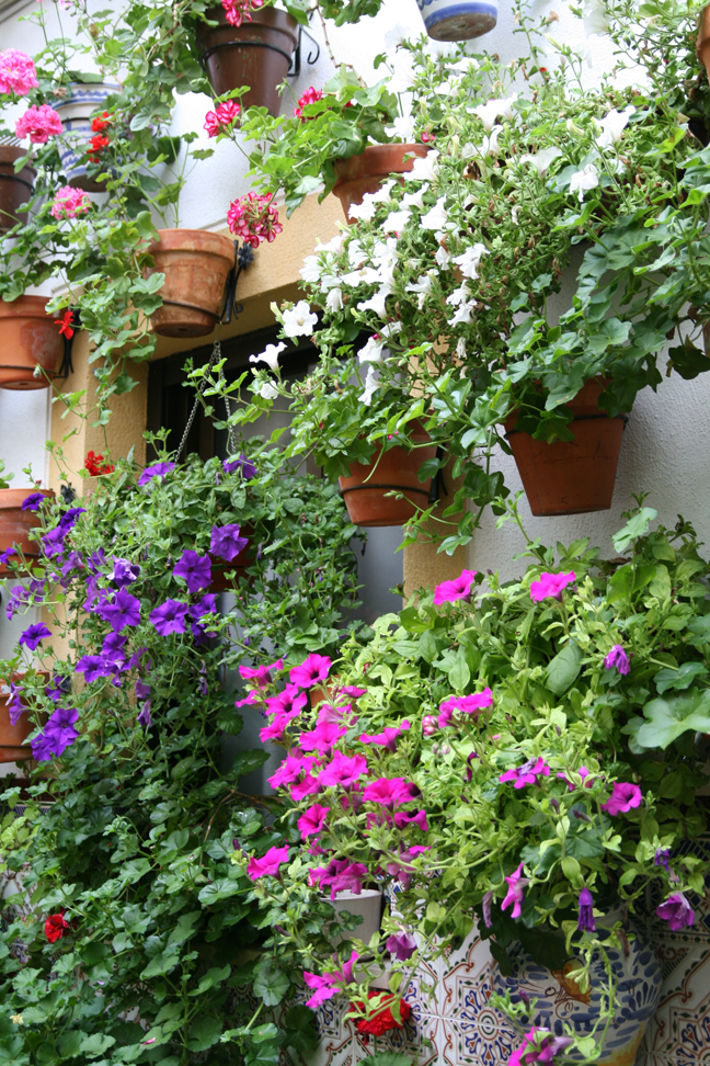 Concurso de Partios Cordobeses 2008