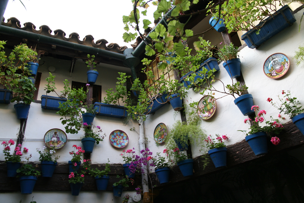 Concurso de Partios Cordobeses 2008