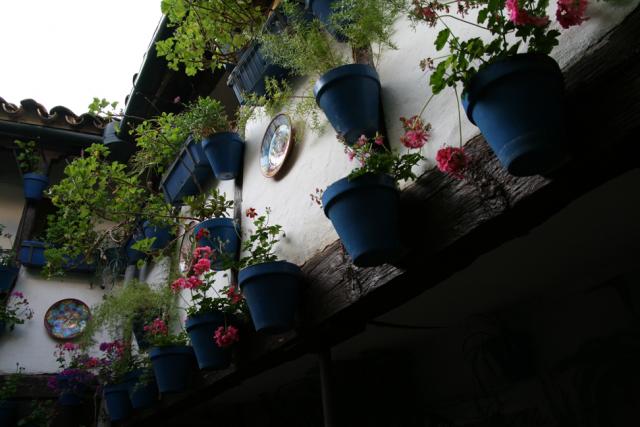 Concurso de Partios Cordobeses 2008