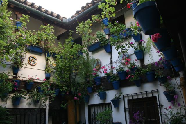 Concurso de Partios Cordobeses 2008