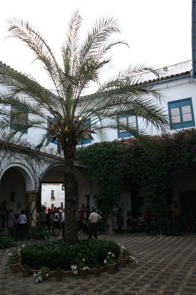 Palacio de Viana