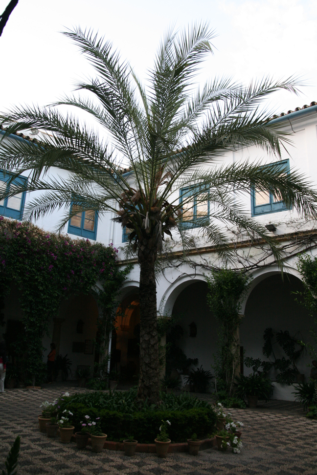 Palacio de Viana