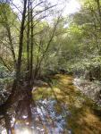 Reflejos del Hueznar