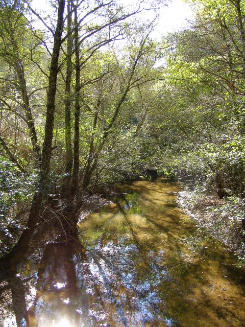 Reflejos del Hueznar