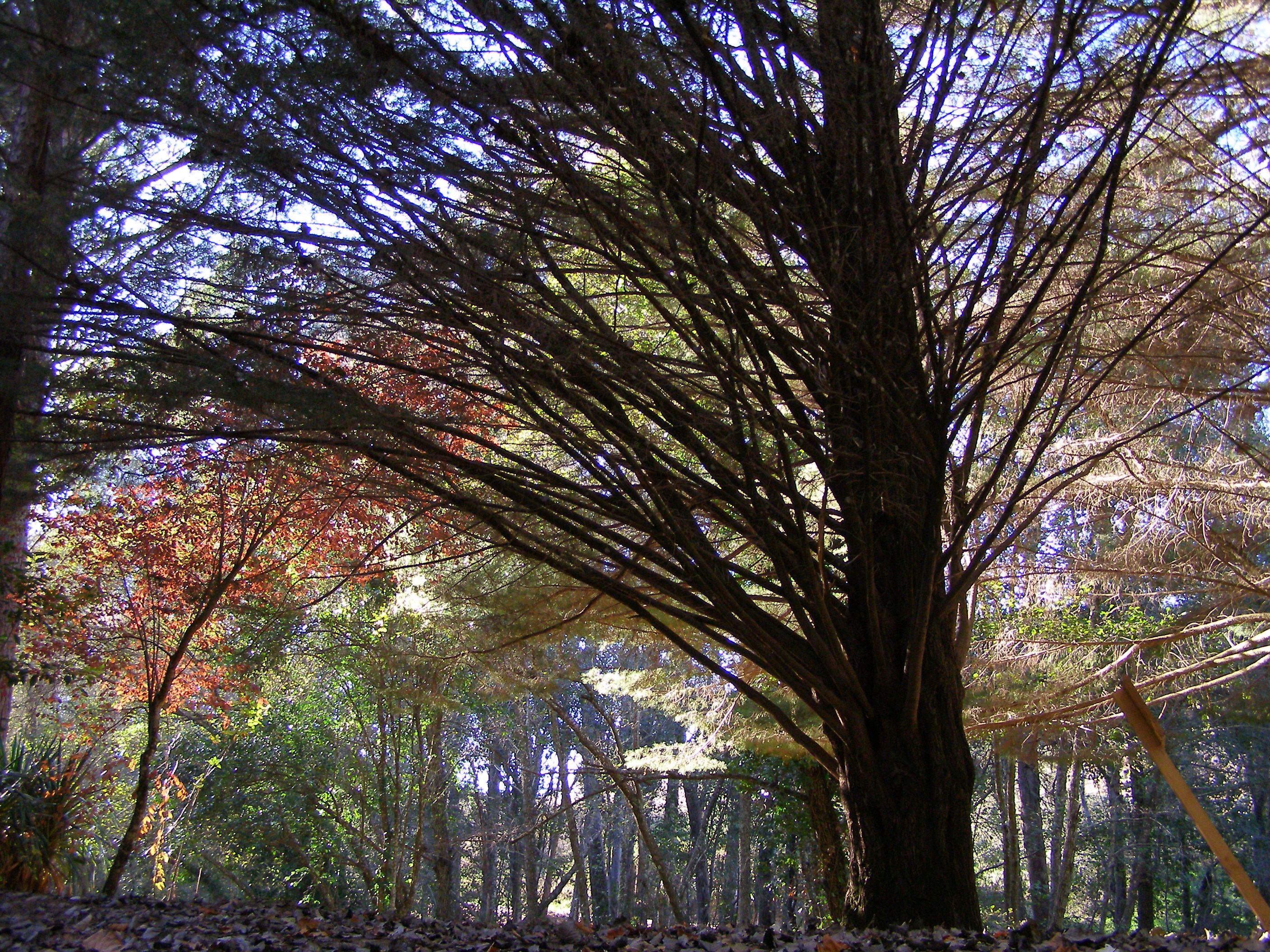 Otoño en la Sierra Norte