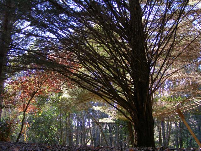 Otoño en la Sierra Norte