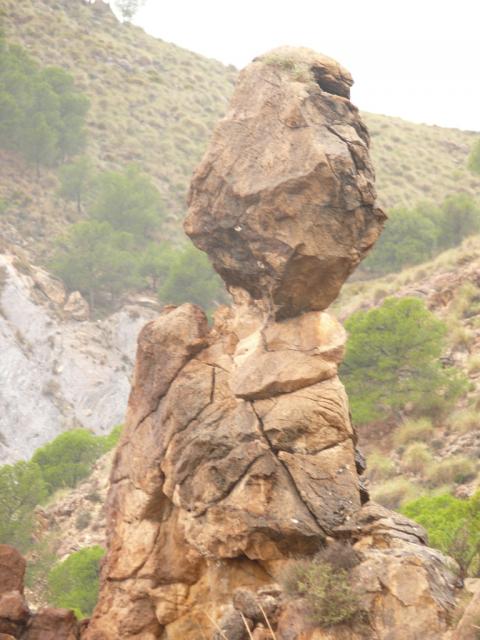 P1030272 - copia
