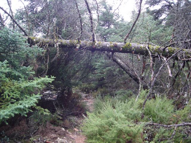 DSC00020.JPG