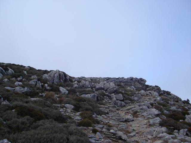 DSC00068