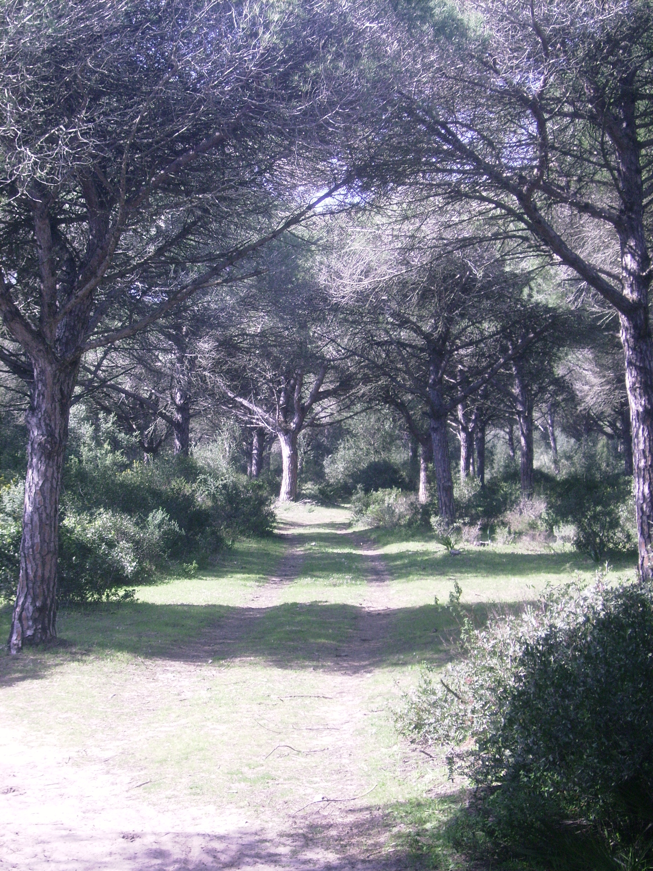 SENDERO TORRE DEL TAJO