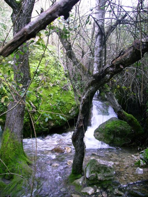 Rio Majaceite 3