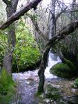 Rio Majaceite 3