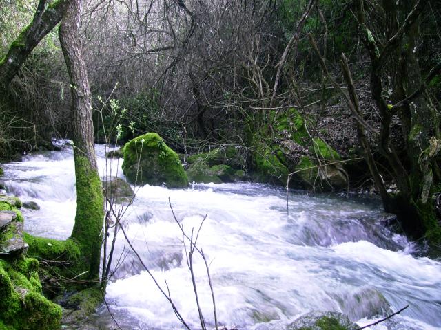 Rio Majaceite 4