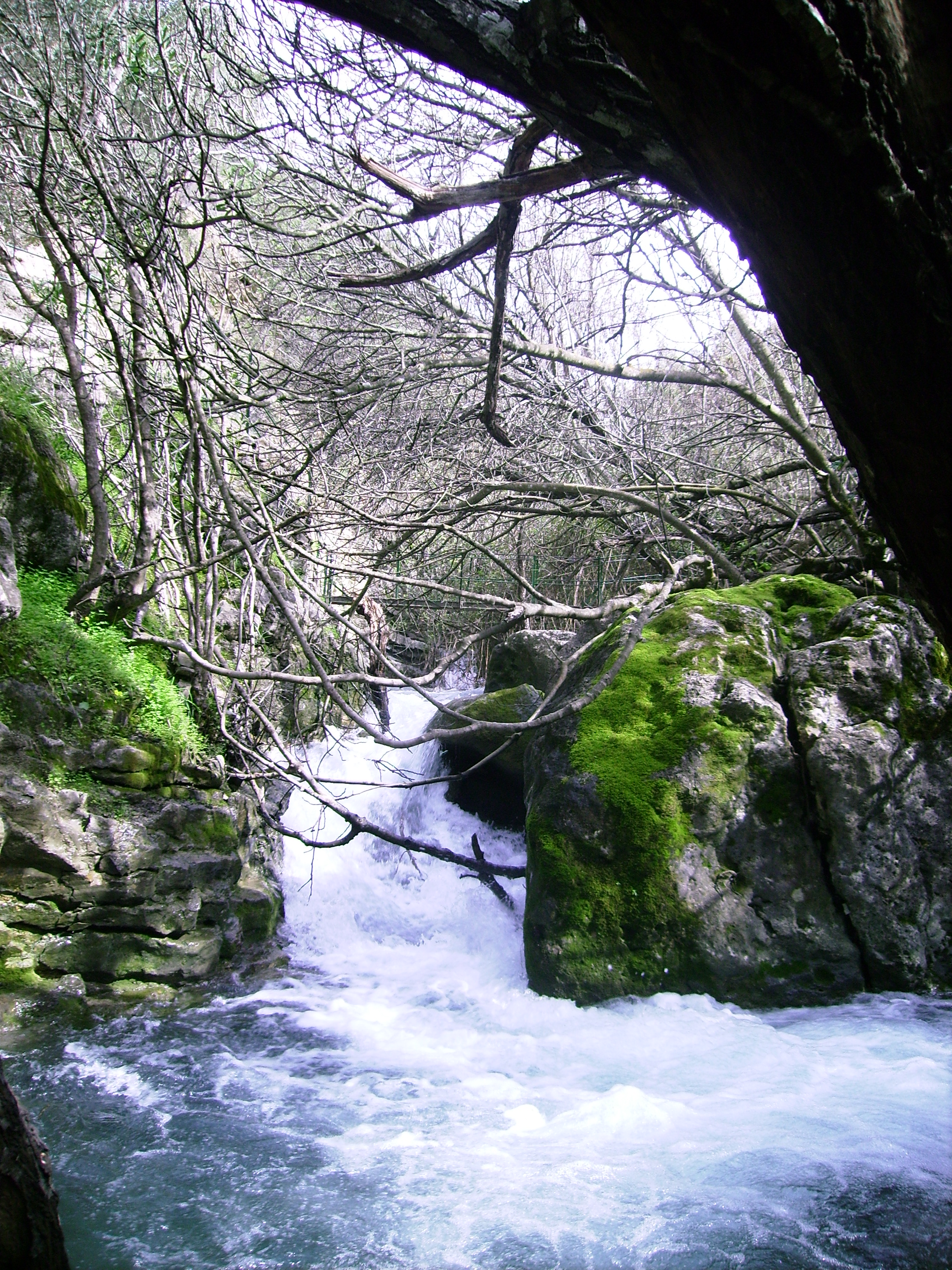 Rio Majaceite 8