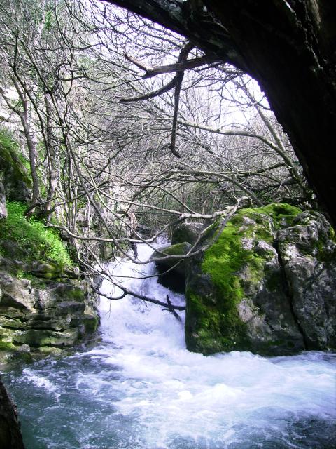 Rio Majaceite 8